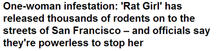 one-woman infestation: 'Rat Girl' has released thousands of rodents on to the streets of san Francisco